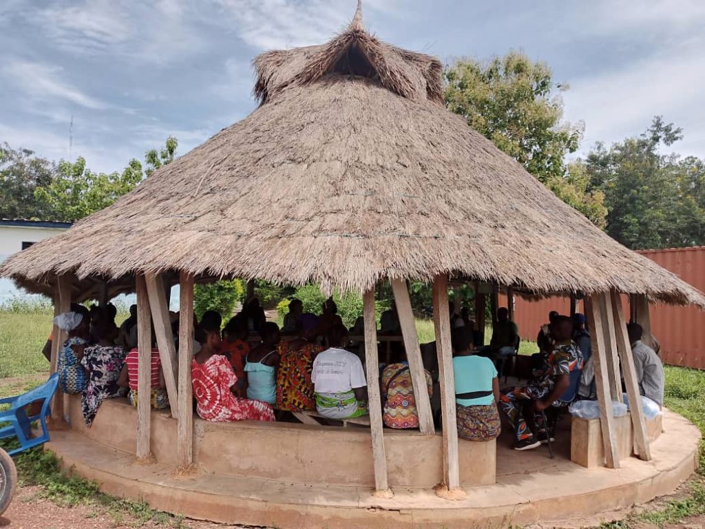 salud mental comunitaria