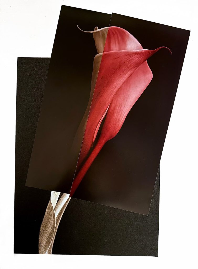 ABRAZO ROJO - Amaya Aznar