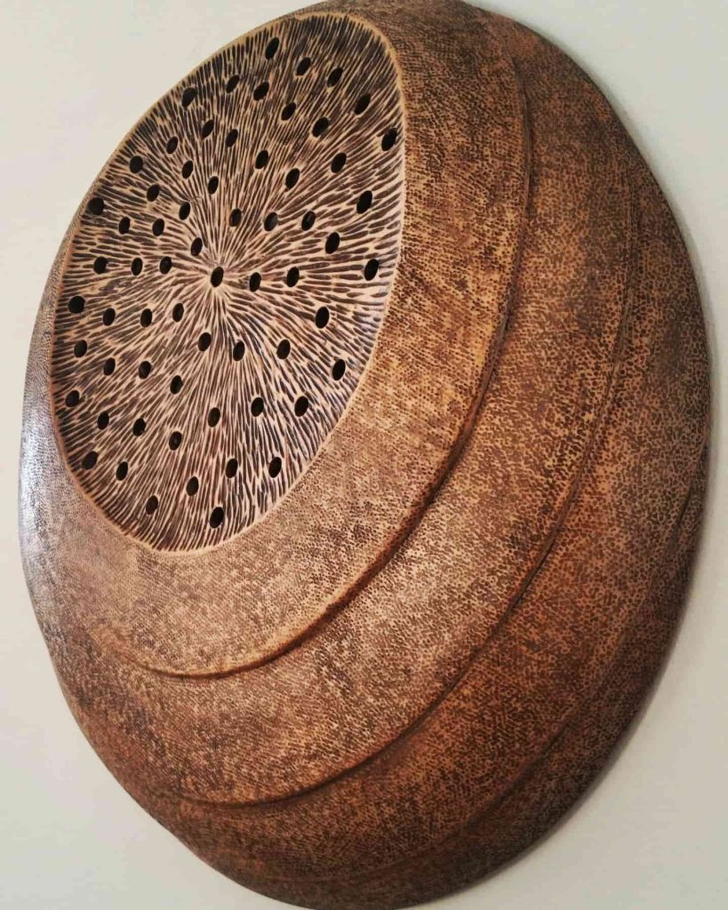 Cardo - SANDRA KRYSIAK