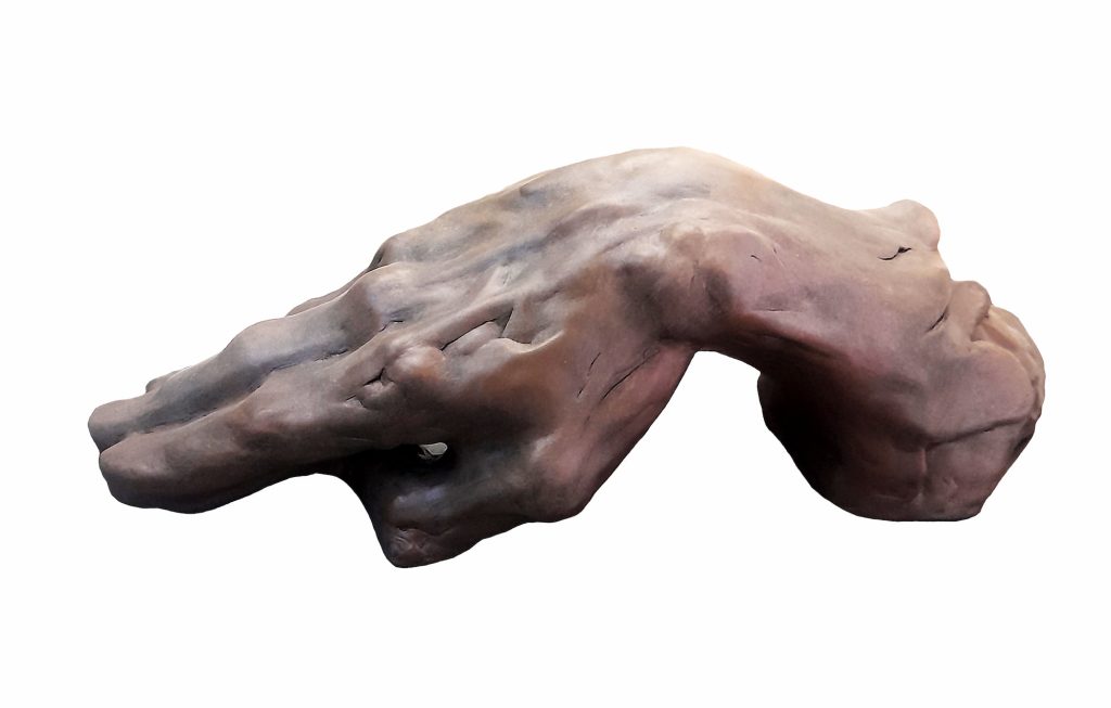 CARICIA - José Manuel Martínez Pérez