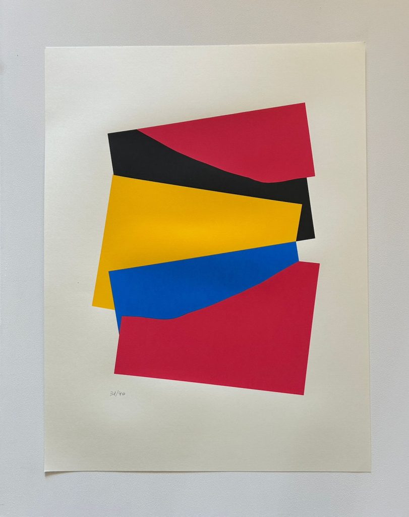 Geometría cromática - Federico Echeverría